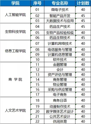 蘇州工業園區服務外包職業學院 軟件外包服務專業的特色與優勢